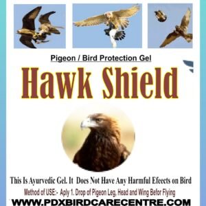 Pigeon Protection From Hawk -  Hawk Shield Gel