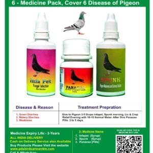 Pigeon 8 Disease Treatment 6 Medicine
  Pack