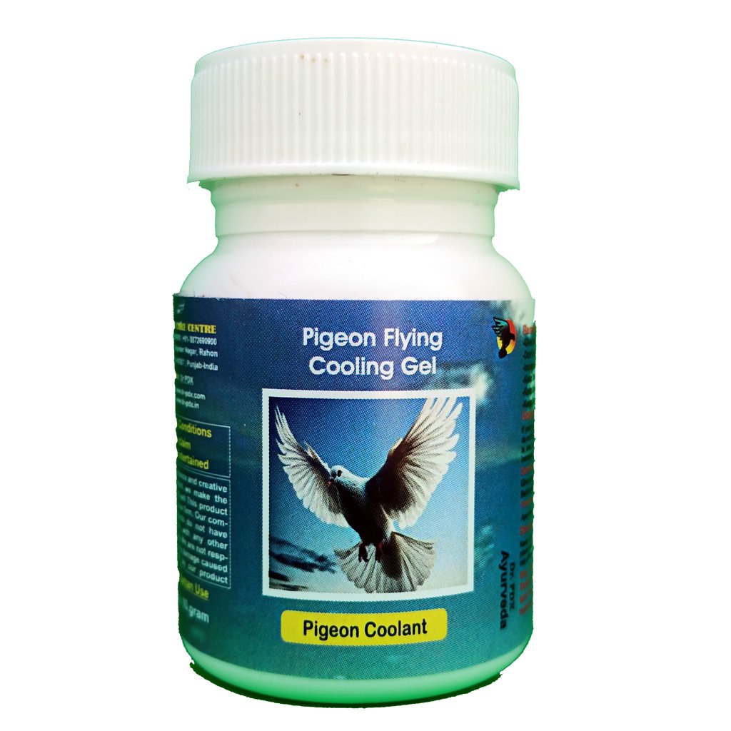 Pigeon Flying Sumer Protection Coolant Gel 2 COOLANT GEL A