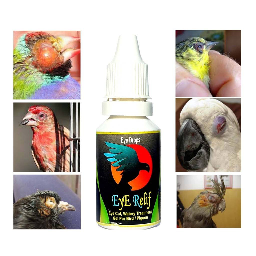 EYE RELIEF 2