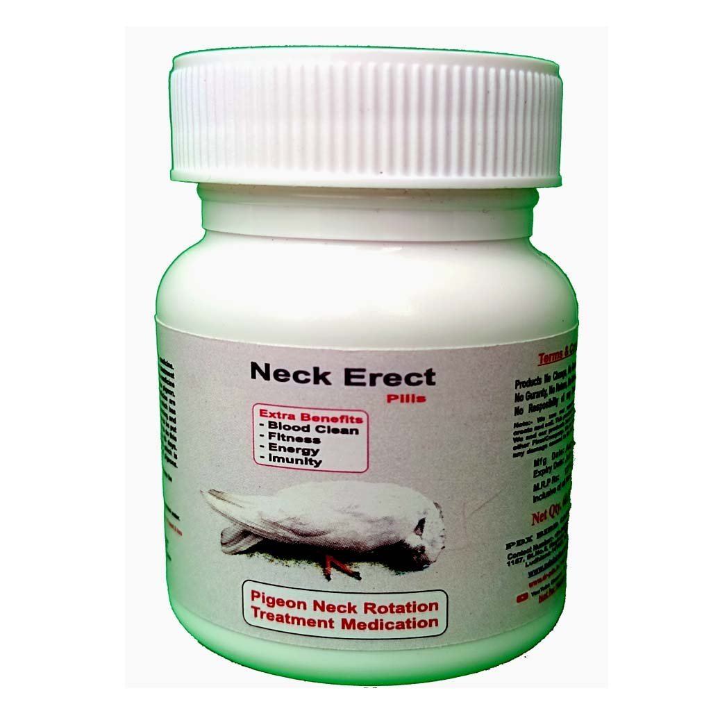 NECK ERECT