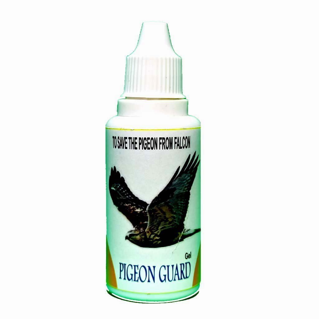 PIGEON PROTECTOR