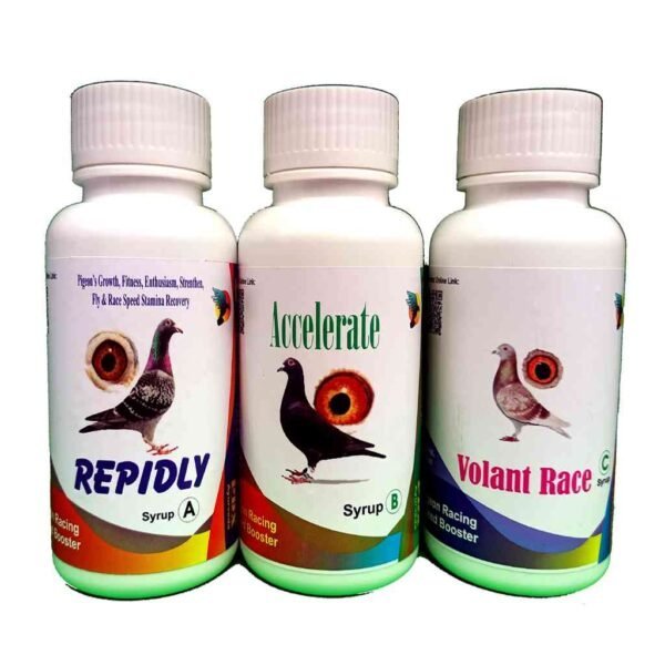 SPEED BOOSTER 3