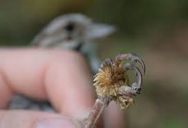 images 28