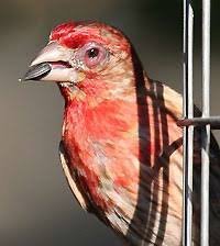 images 58
