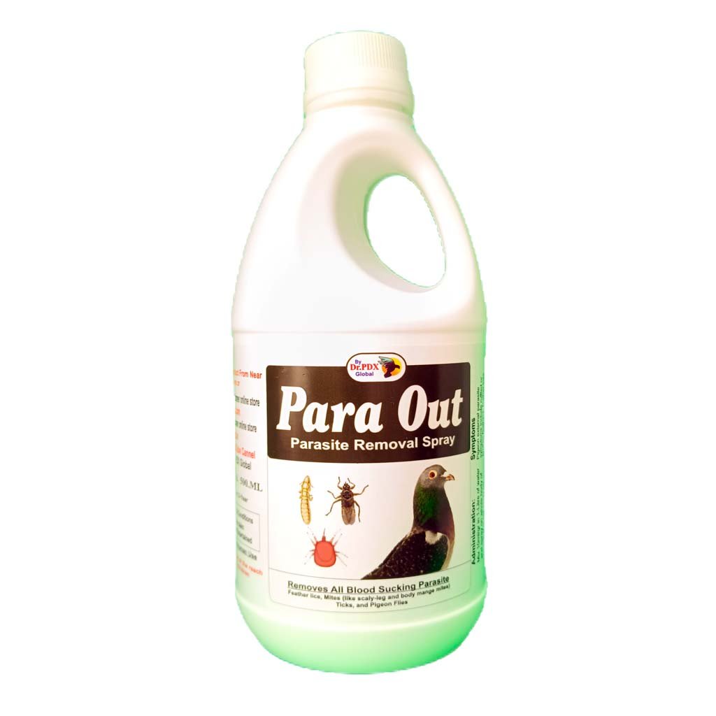 PARA OUT F 1