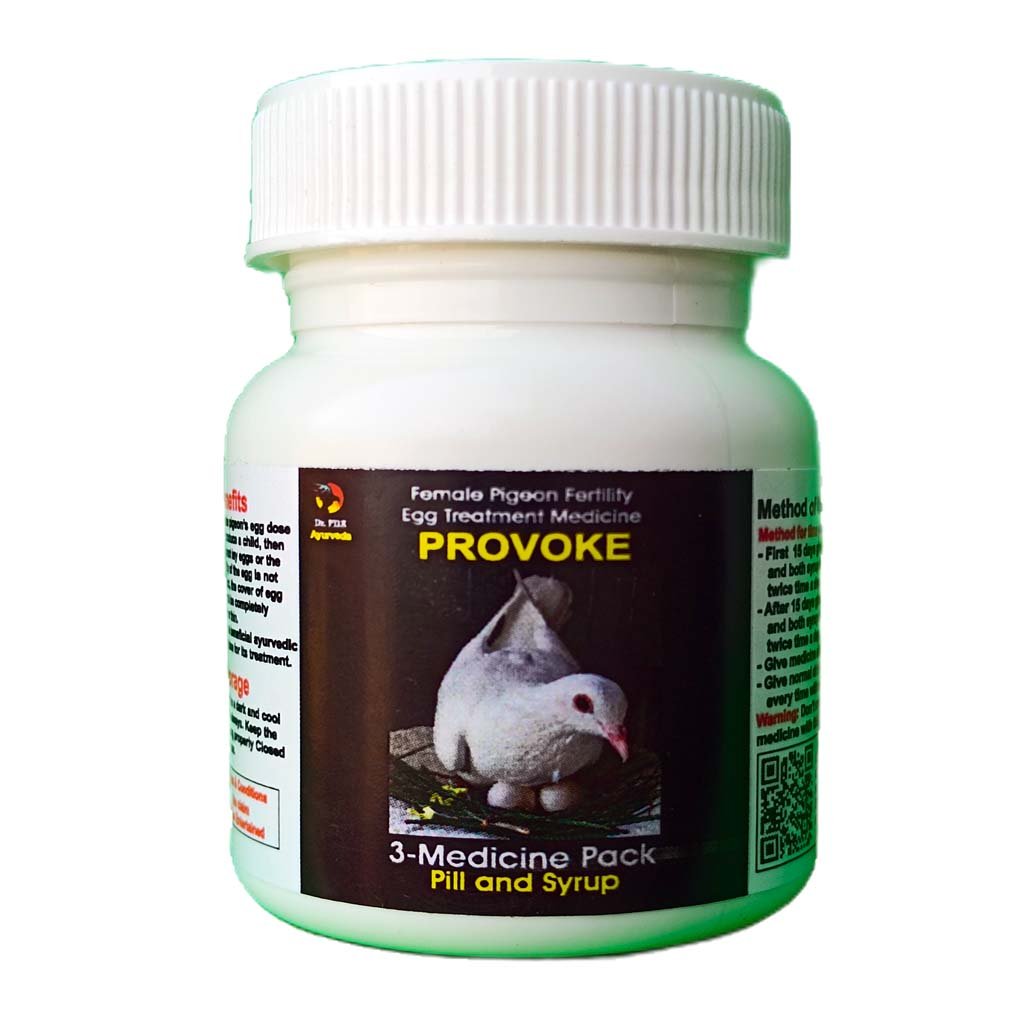 PROVOKE F 1