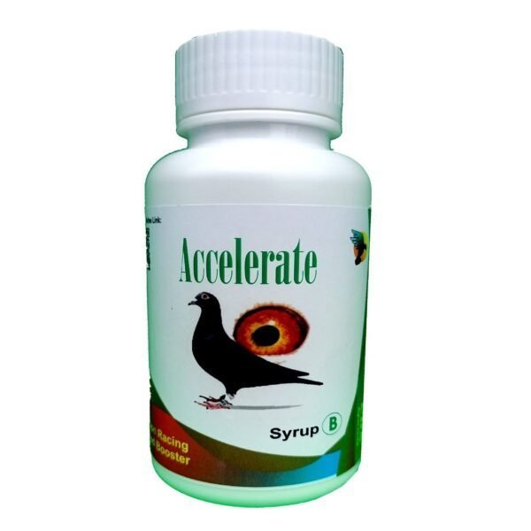 ACCELERATE
