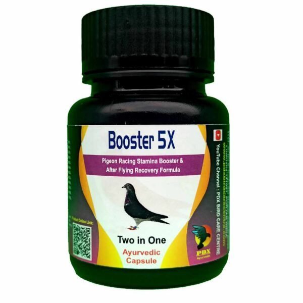 BOOSTER5X