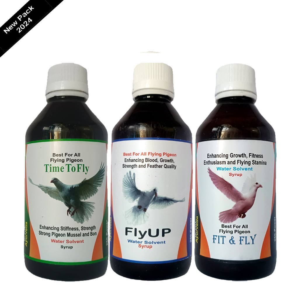 FLYING TIME RECOVERY PACK 2024