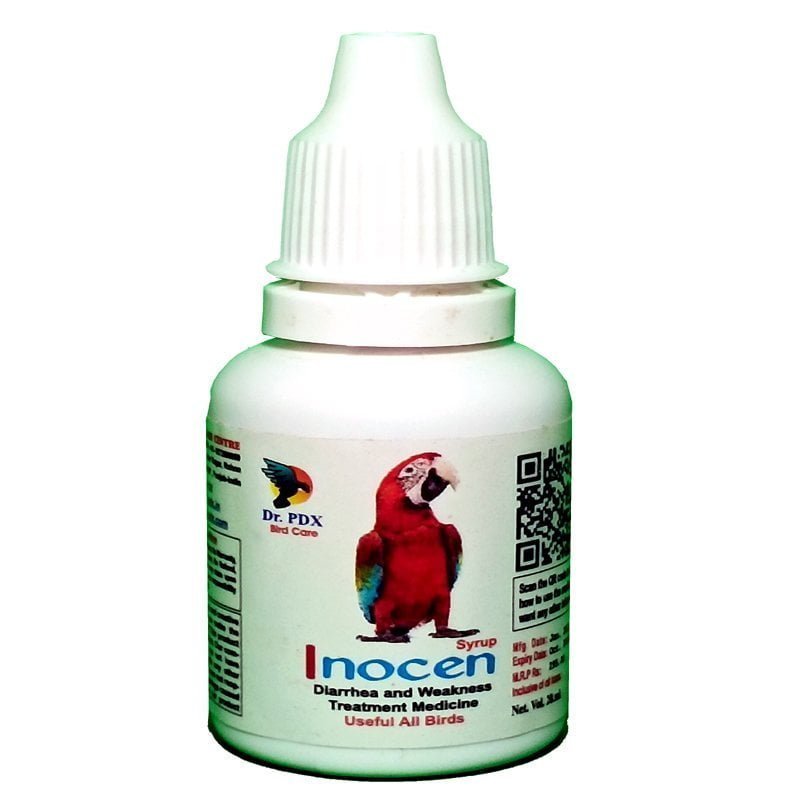 INOCEN copy 800x800 1