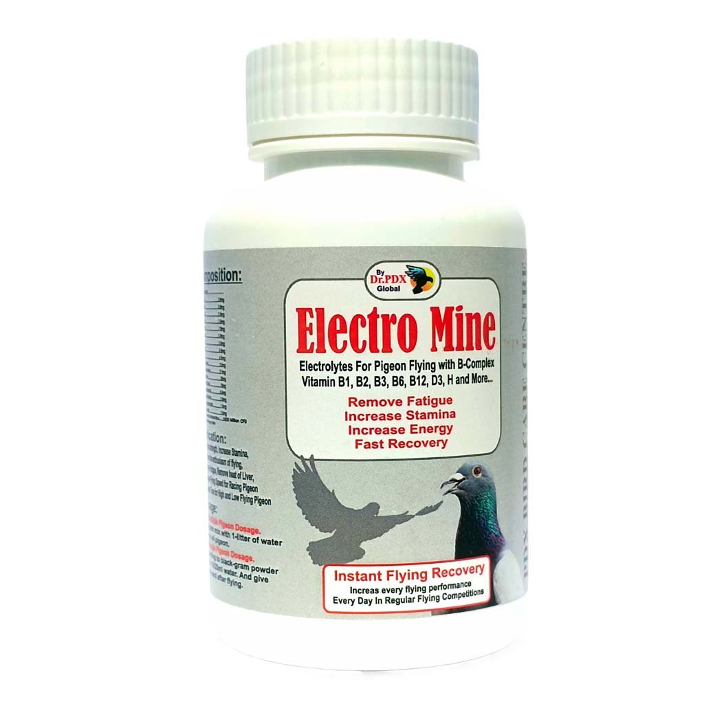 Electro Mine b
