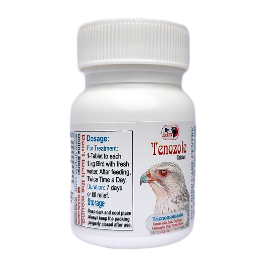 Falcon Medicine For Canker, Trichomonas, Tenozole Tablet 6 Tenozole b
