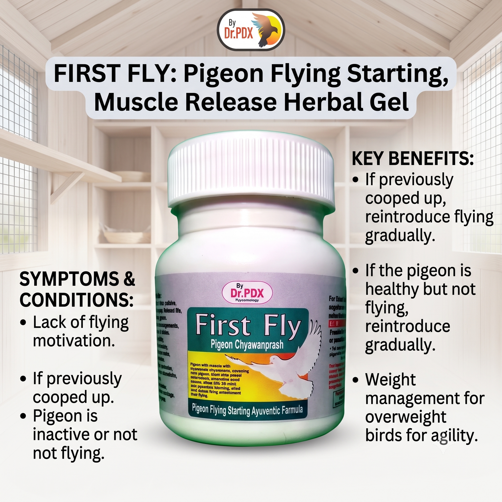 Pigeon First Fly Gel Eng
