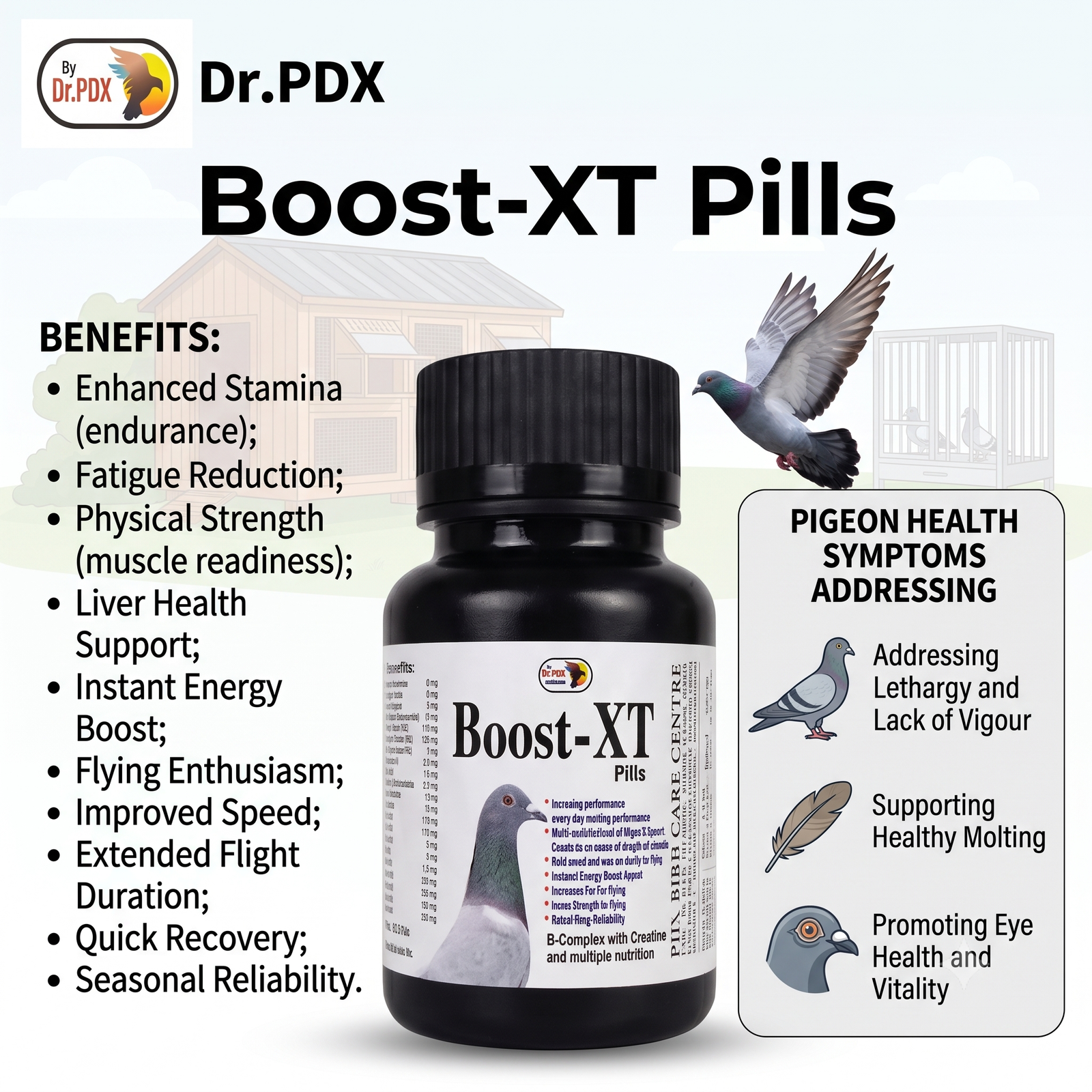 Pigeon Flying Booste Xt Pills AI 1024X1024 Eng