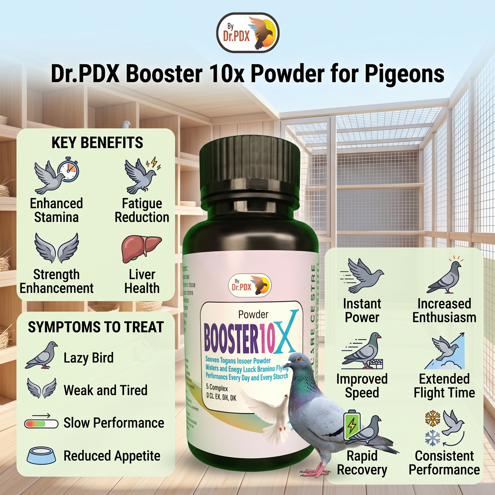 Pigeon Flying Booster 10X Powder Eng