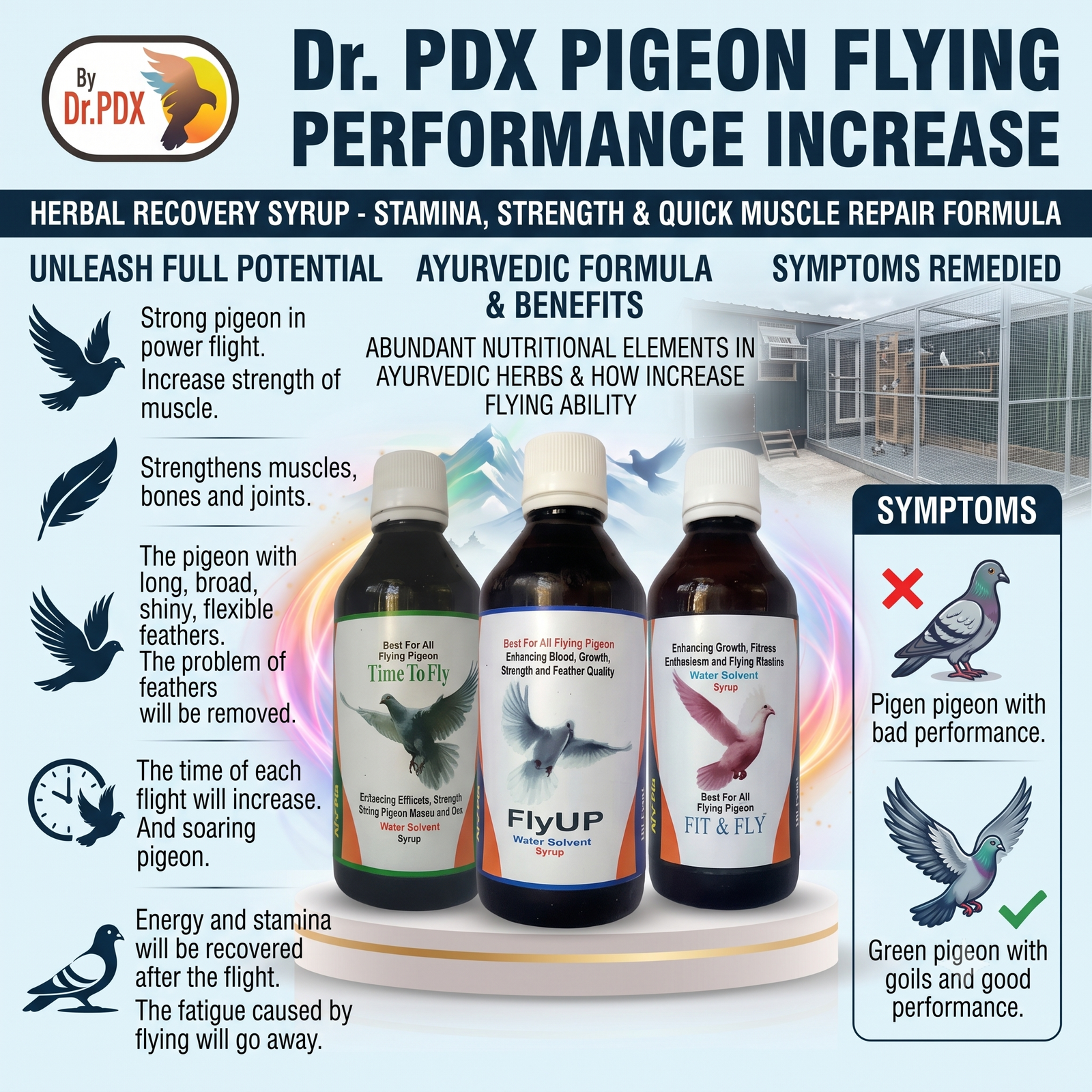 Pigeon Flying Time Recovery AI 1024X1024 Eng 1