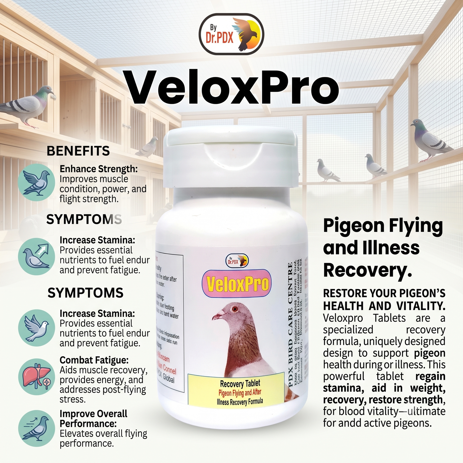 Pigeon Aftre Flying and illness Recovery Recovery, Veloxpro Tablet 2 Pigeon Flying Veloxpro Tablet Eng