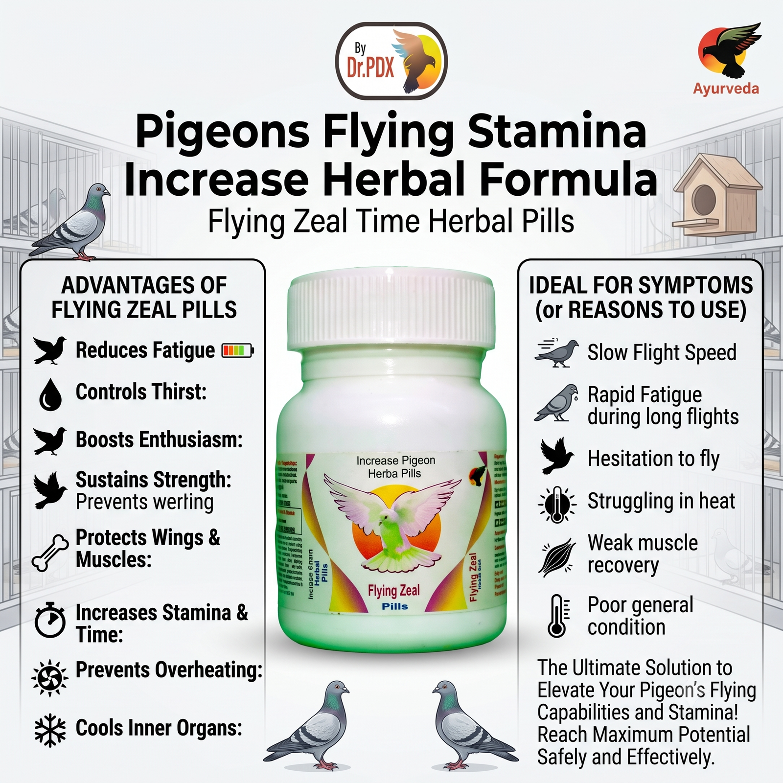 Pigeon Flying Zeal Time Pills AI 1024X1024 Eng