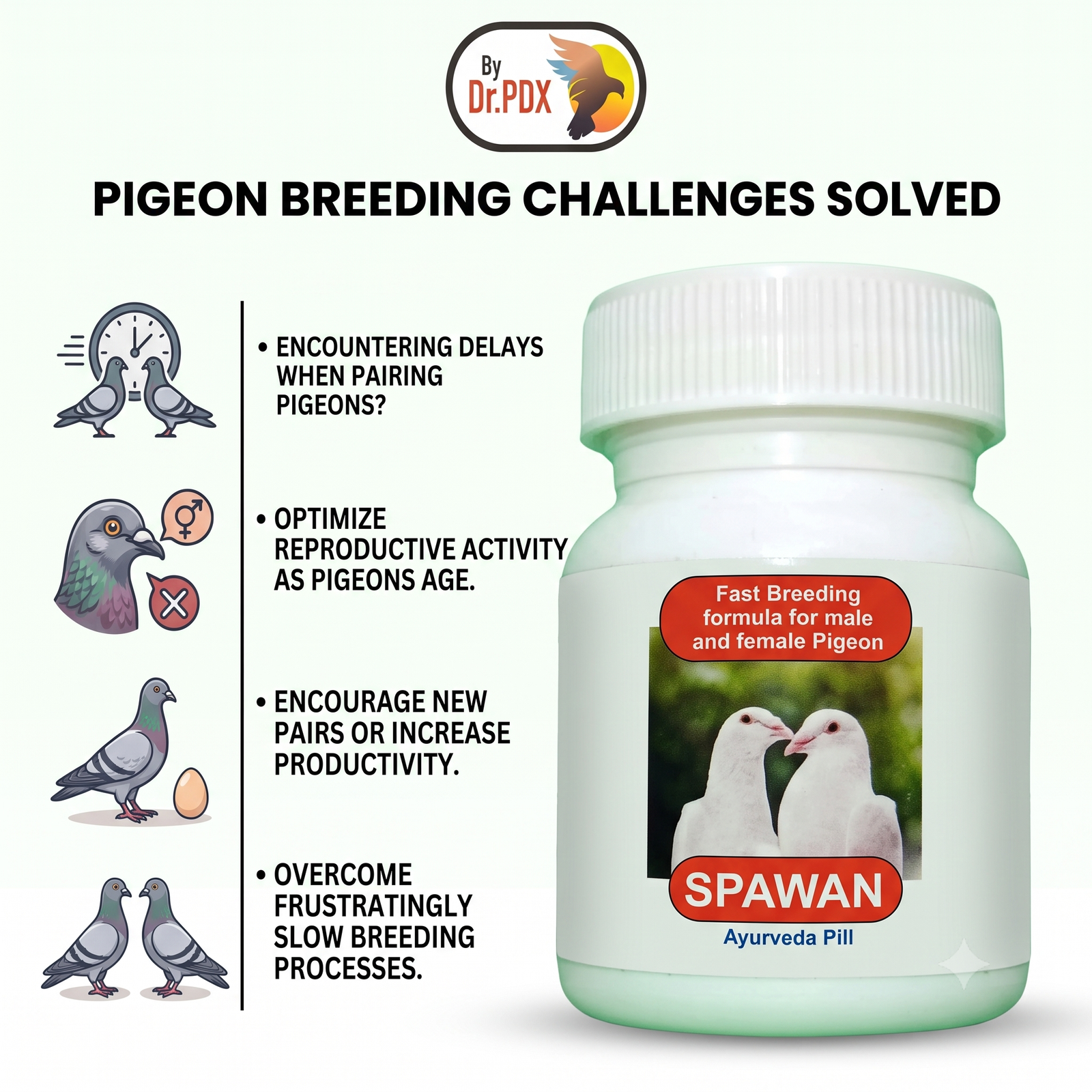 Pigeon medicine, Spawan pills, For Male, Femail 2 Spawan Ai Image 1024x1024 1